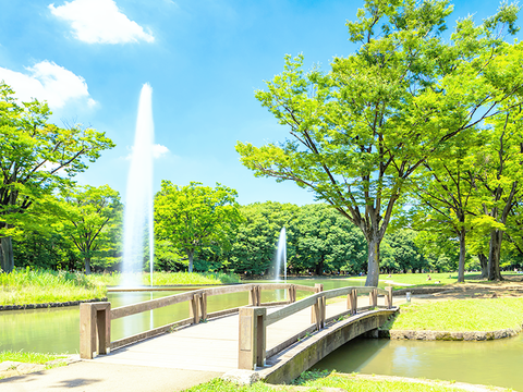 公園・芝生地