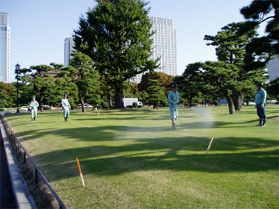 公園・芝生地