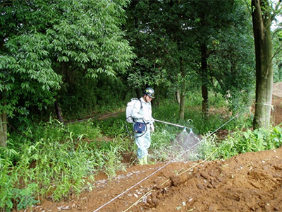 公園・芝生地