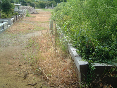 公園・芝生地