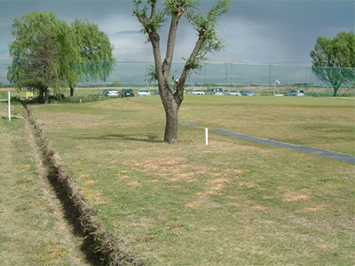 公園・芝生地