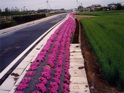 公園・芝生地