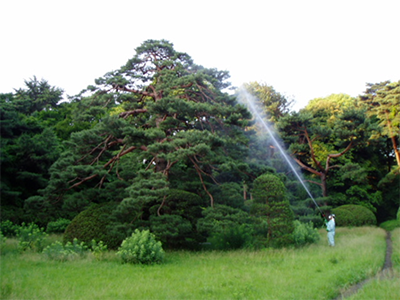 公園・芝生地