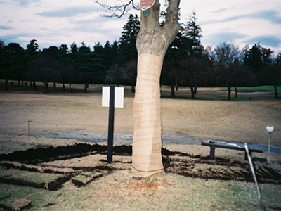 公園・芝生地