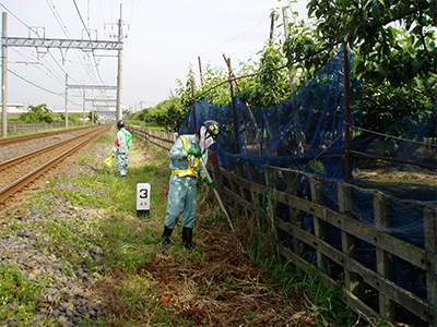 街路樹・鉄道