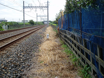 街路樹・鉄道