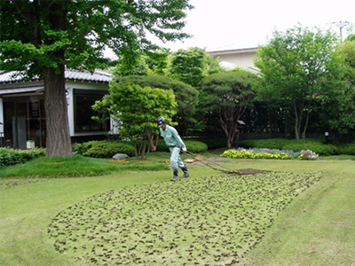 公園・芝生地