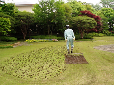 公園・芝生地