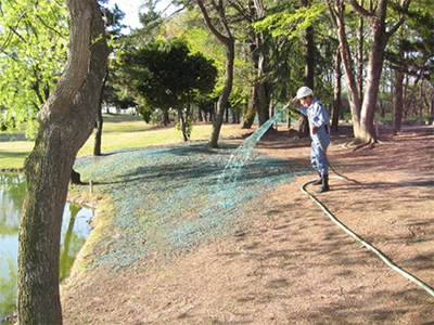 公園・芝生地